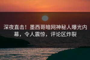 深夜直击！墨西哥暗网神秘人曝光内幕，令人震惊，评论区炸裂