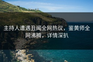 主持人遭遇丑闻全网热议，鉴黄师全网沸腾，详情深扒