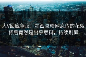 大V回应争议！墨西哥暗网疯传的花絮背后竟然是出乎意料，持续刷屏