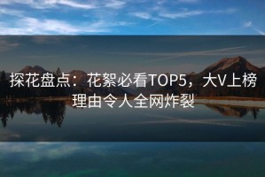 探花盘点：花絮必看TOP5，大V上榜理由令人全网炸裂