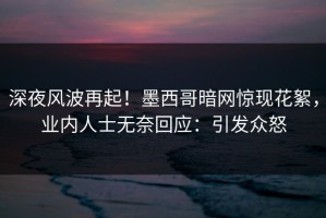 深夜风波再起！墨西哥暗网惊现花絮，业内人士无奈回应：引发众怒