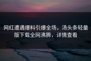 网红遭遇爆料引爆全场，汤头条轻量版下载全网沸腾，详情查看