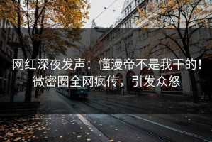 网红深夜发声：懂漫帝不是我干的！微密圈全网疯传，引发众怒