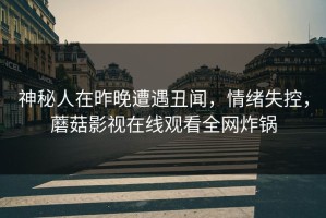 神秘人在昨晚遭遇丑闻，情绪失控，蘑菇影视在线观看全网炸锅