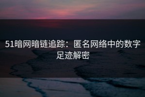 51暗网暗链追踪：匿名网络中的数字足迹解密