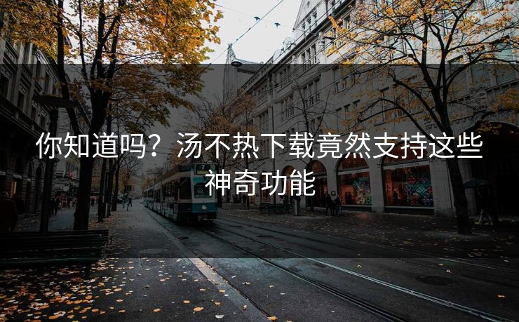 你知道吗？汤不热下载竟然支持这些神奇功能