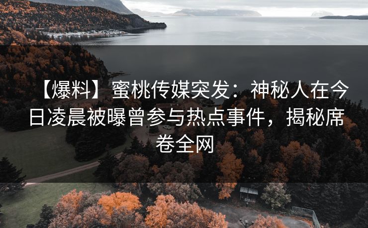 【爆料】蜜桃传媒突发：神秘人在今日凌晨被曝曾参与热点事件，揭秘席卷全网