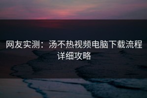 网友实测：汤不热视频电脑下载流程详细攻略