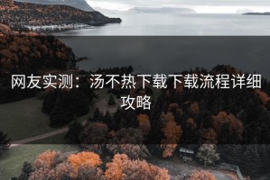 网友实测：汤不热下载下载流程详细攻略