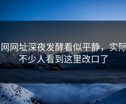 51网网址深夜发酵看似平静，实际上不少人看到这里改口了