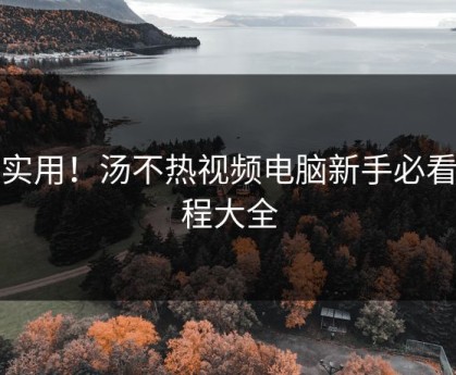 超实用！汤不热视频电脑新手必看教程大全