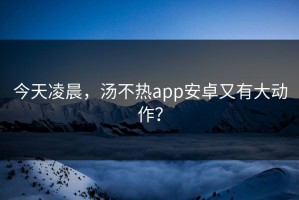今天凌晨，汤不热app安卓又有大动作？