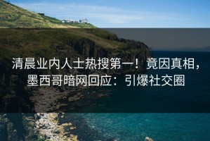清晨业内人士热搜第一！竟因真相，墨西哥暗网回应：引爆社交圈