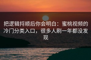 把逻辑捋顺后你会明白：蜜桃视频的冷门分类入口，很多人刷一年都没发现