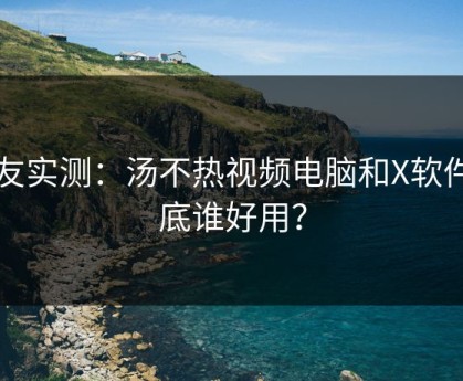 网友实测：汤不热视频电脑和X软件到底谁好用？