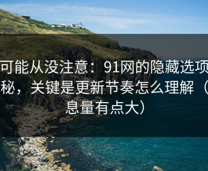 你可能从没注意：91网的隐藏选项不神秘，关键是更新节奏怎么理解（信息量有点大）