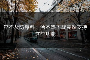 猝不及防爆料：汤不热下载竟然支持这些功能