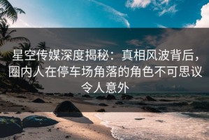 星空传媒深度揭秘：真相风波背后，圈内人在停车场角落的角色不可思议令人意外