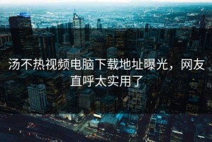 汤不热视频电脑下载地址曝光，网友直呼太实用了
