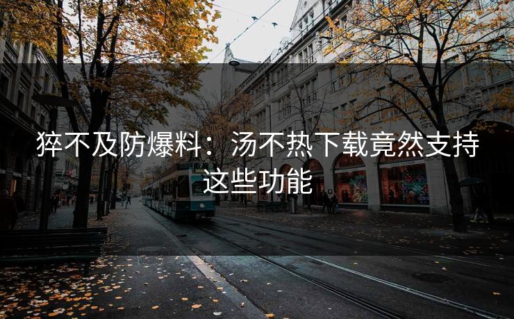 猝不及防爆料：汤不热下载竟然支持这些功能