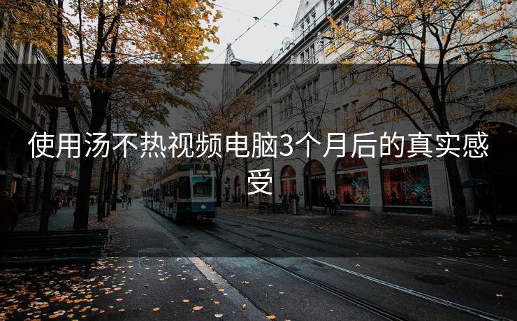 使用汤不热视频电脑3个月后的真实感受