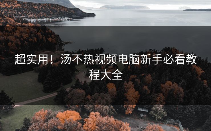 超实用！汤不热视频电脑新手必看教程大全
