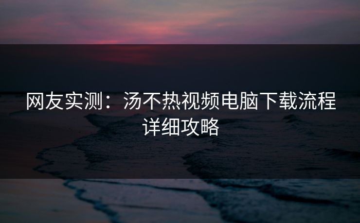 网友实测：汤不热视频电脑下载流程详细攻略