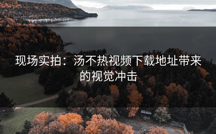 现场实拍：汤不热视频下载地址带来的视觉冲击