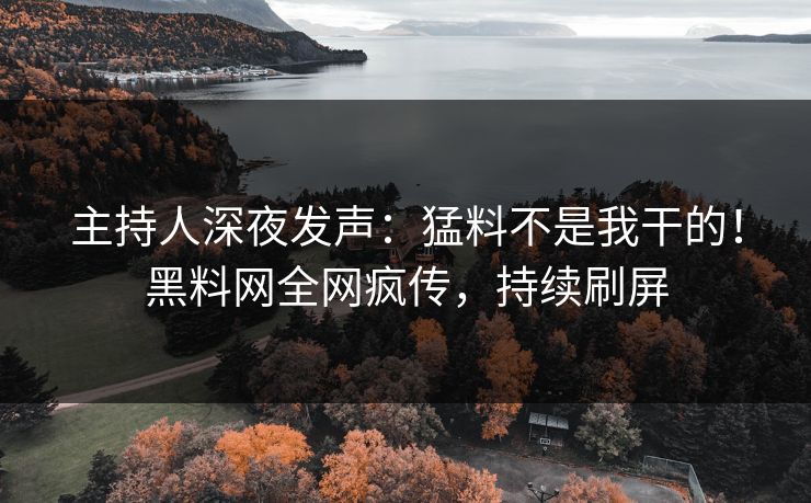 主持人深夜发声：猛料不是我干的！黑料网全网疯传，持续刷屏