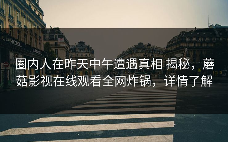 圈内人在昨天中午遭遇真相 揭秘，蘑菇影视在线观看全网炸锅，详情了解